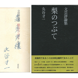 梨のつぶて 文芸評論集
