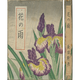 花の雨