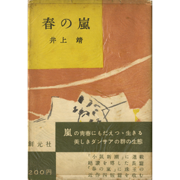 春の嵐