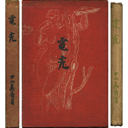 電光