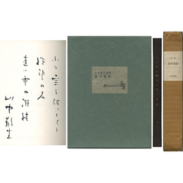 砂の楽器