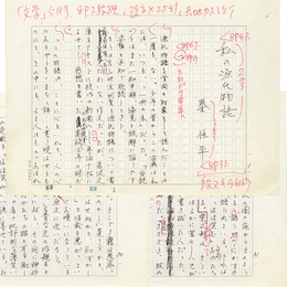 秦恒平草稿