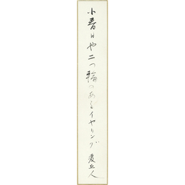 星野麦丘人短冊