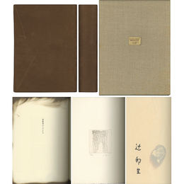 背教者ユリアヌス　