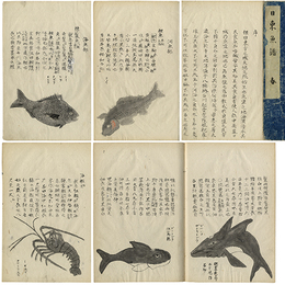 日東魚譜　