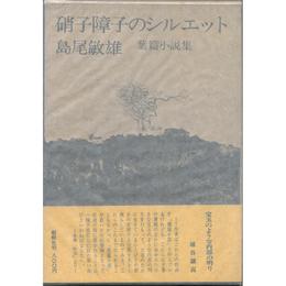 硝子障子のシルエット　葉篇小説集