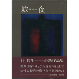 城・夜　