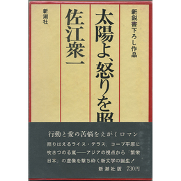 太陽よ、怒りを照らせ　新鋭書下ろし作品