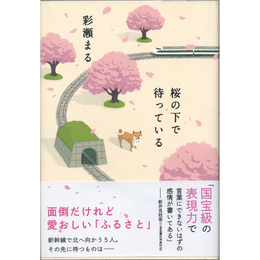 桜の下で待っている　