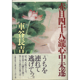 赤目四十八瀧心中未遂　