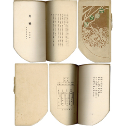 カタソデ（片袖） 第一集　