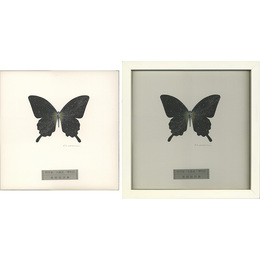 卵宇宙／水晶宮／博物誌　