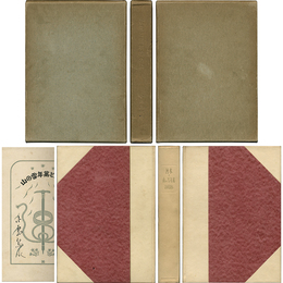 氷河と万年雪の山　