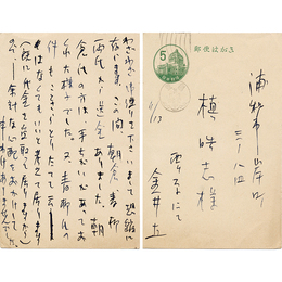 金井直葉書　