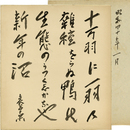 結城哀草果色紙　