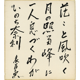 結城哀草果色紙　