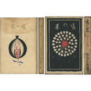 嘘の果（常子の手紙）　