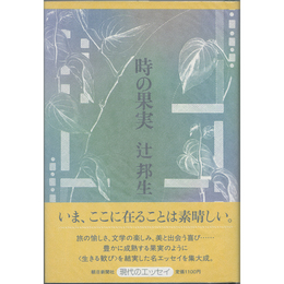 時の果実　