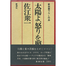 太陽よ、怒りを照らせ　新鋭書下ろし作品