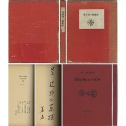 Ａｍｂａｒｖａｌｉａ（アムバルワリア）　