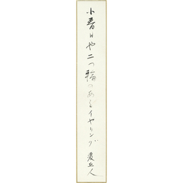 星野麦丘人短冊　