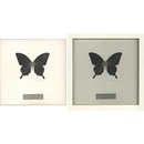 卵宇宙／水晶宮／博物誌　