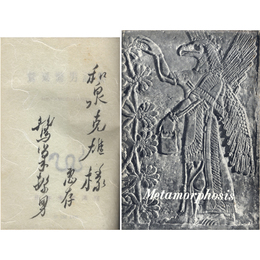 メタモルフォーシス　