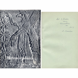 メタモルフォーシス　