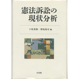 憲法訴訟の現状分析　