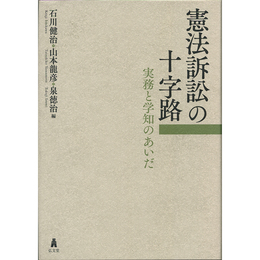 憲法訴訟の十字路　実務と学知のあいだ　