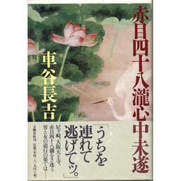 赤目四十八瀧心中未遂　