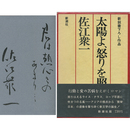 太陽よ、怒りを照らせ　新鋭書下ろし作品