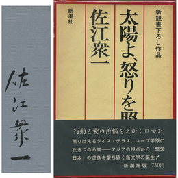 太陽よ、怒りを照らせ　新鋭書下ろし作品