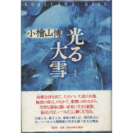 光る大雪　