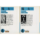 魔女 上・下 （岩波文庫 青434-1・2）　