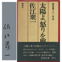 太陽よ、怒りを照らせ　新鋭書下ろし作品