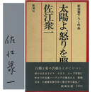 太陽よ、怒りを照らせ　新鋭書下ろし作品