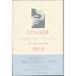 なぎさの媚薬　敦夫の青春｜研介の青春
