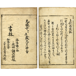 連歌雨夜記　