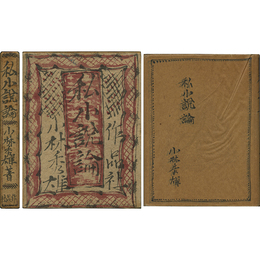 私小説論　