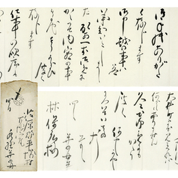 水野葉舟書簡　