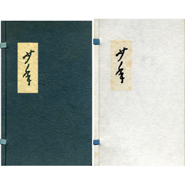 少年（二種）　