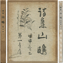 山鴫　