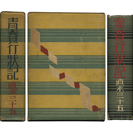 青春行状記　