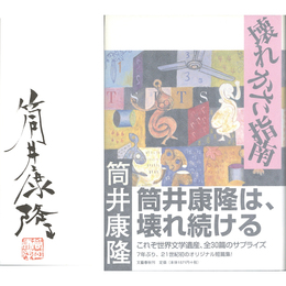 壊れかた指南　