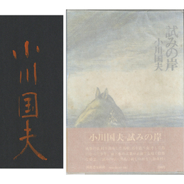 試みの岸　