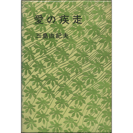 愛の疾走　