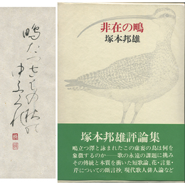 非在の鴫　