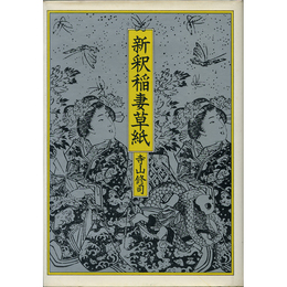 新釈稲妻草紙　
