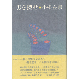 男を探せ　